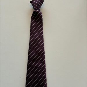 Scoil Realta Na Maidine Tie