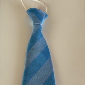 Asdee National School Tie
