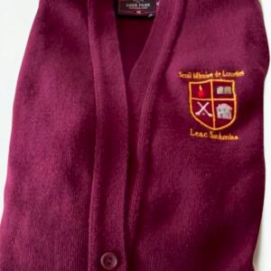 Scoil Mhuire de Lourdes Cardigan